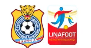 LINAFOOT : l’élection du nouveau comité exécutif fixée au 05 avril prochain